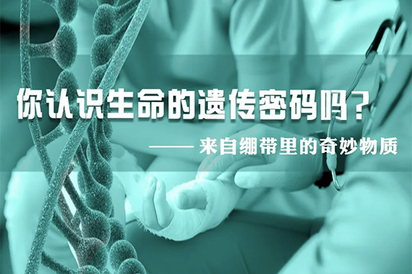 科普?qǐng)@地|來(lái)自繃帶里的奇妙物質(zhì)，你認(rèn)識(shí)生命的遺傳密碼嗎？